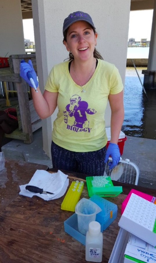 Genomic variation and local adaptation among natural stocks of eastern oysters in Louisiana